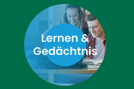21. Kurztraining Fürs Lernen
